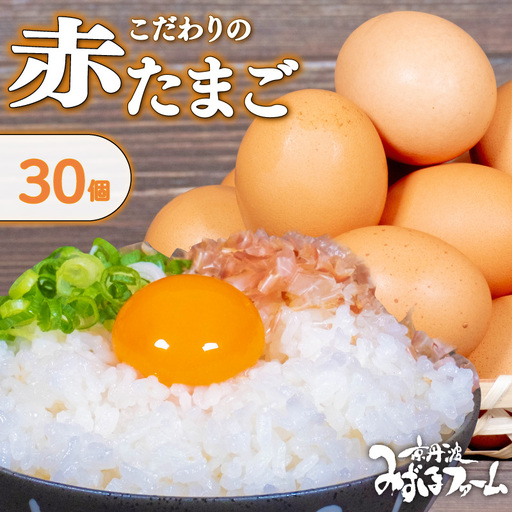 京都こだわりたまご「赤たまご」 ＼ 卵 / 30個