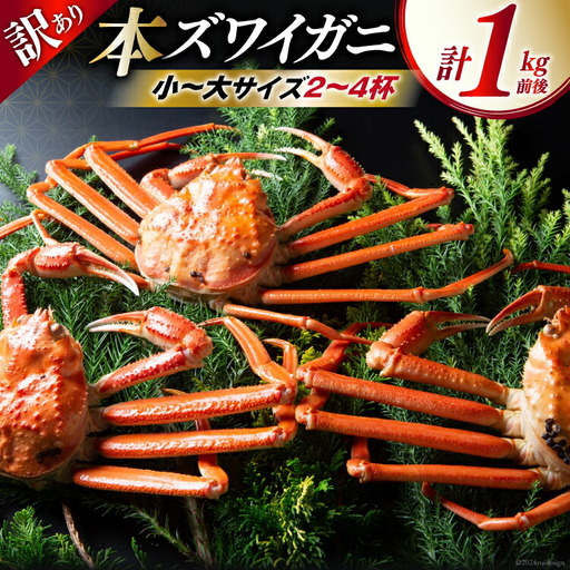 【期間限定発送】 【漁師厳選】 訳あり 本ズワイガニ ボイル済 2～4杯 計1kg前後