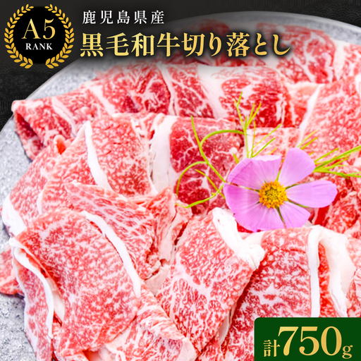 鹿児島県産黒毛和牛切落し250ｇ×3パック LRプラスK 《90日以内に出荷予定(土日祝除く) 》 鹿児島県産 A5 黒毛和牛 和牛 切落し 250ｇ×3パック 計750g