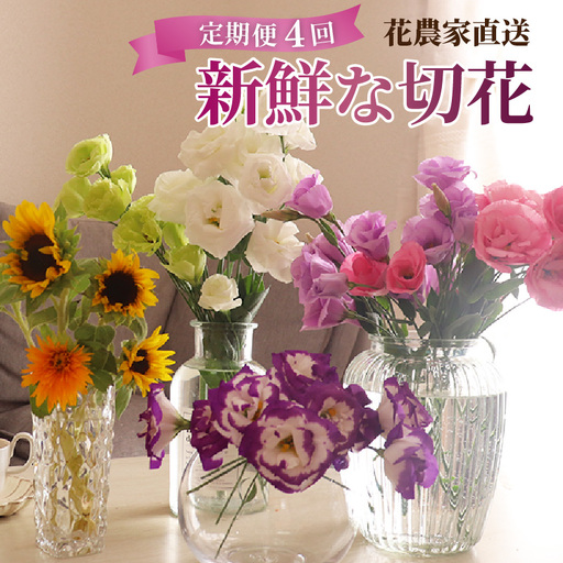 [定期便4回]花農家直送 新鮮な切花[春 夏 秋 冬] / 生花 お花 旬の花束 豊かな生活 花のある生活 15本程度 2種 季節 年4回お届け [aw099-d001]