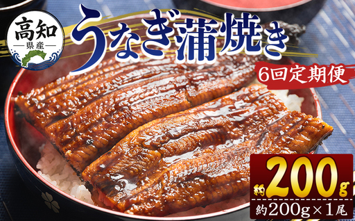 【大サイズ】うなぎ蒲焼き | うなぎ 定期便 国産 うなぎ 定期便 うなぎ 定期便 Wfb-0047
