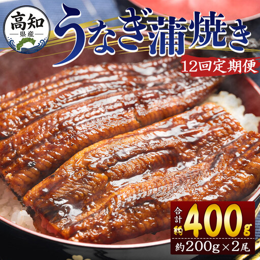 香南市 うなぎ 高知県産定期便 全12回 | うなぎ Wfb-0052