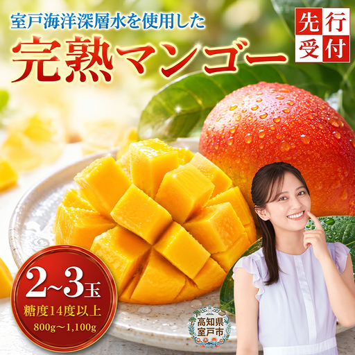 高知県安芸市産 完熟マンゴー「アーウィンアップルマンゴー」（岡宗農園）
