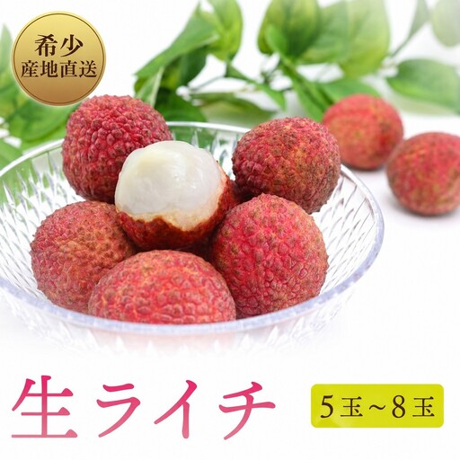 【令和9年6月上旬頃より発送】先行予約 お試しパック 生ライチ 国産