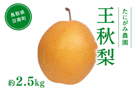 たにがみ農園 王秋梨 2.5kg (3玉〜7玉) 梨 なし フルーツ 果物 くだもの 鳥取県 佐治 梨 なし ナシ