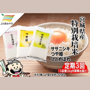 [定期便]元気くん市場 お米3品種順番でお届け(ササニシキ・つや姫・ひとめぼれ) 3kg×3回[3ヶ月連続でお届け][mygs-tkb003]