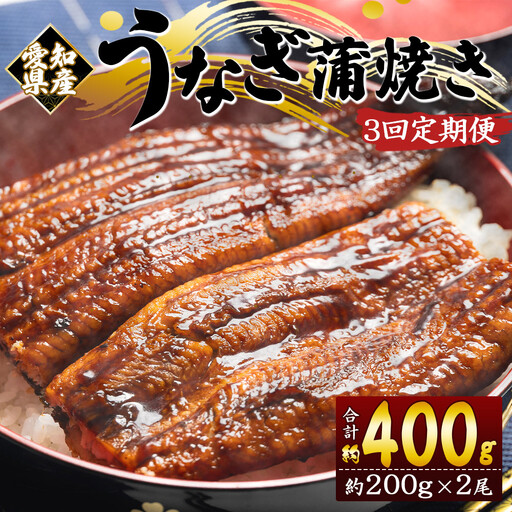 【定期便】うなぎ蒲焼き | うなぎ 定期便 国産 魚介 Wfb-0074