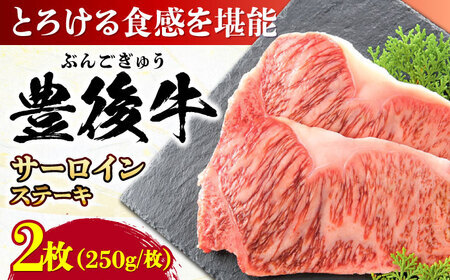 おおいた豊後牛 サーロインステーキ 500g (250g×2枚) ステーキ サーロイン おおいた 豊後牛 サーロインステーキ[AREI007]
