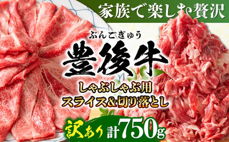 【訳あり】おおいた豊後牛 しゃぶしゃぶすき焼き セット 750g  日田市 黒毛和牛 牛肉 サーロイン 豊後牛 しゃぶしゃぶ すき焼き 訳あり[AREI014]