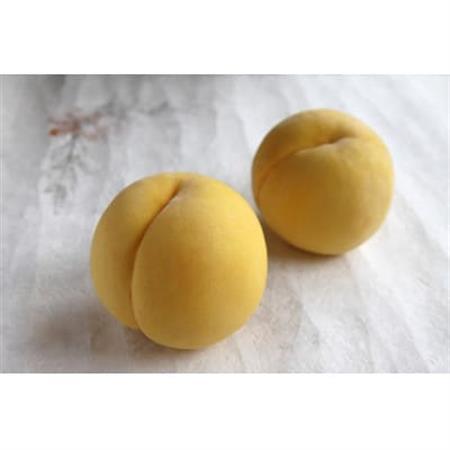 【2026年発送】フルーツ王国　長野県信州直送　黄金桃　約2kg(3～8玉)【配送不可地域：離島】【1577366】