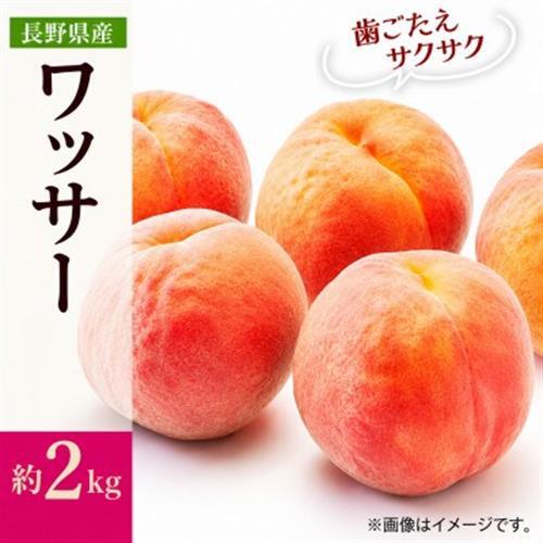 【2026年発送】フルーツ王国　長野県信州直送　ワッサークイン　約2kg(4～8玉)　【配送不可地域：離島】【1577369】