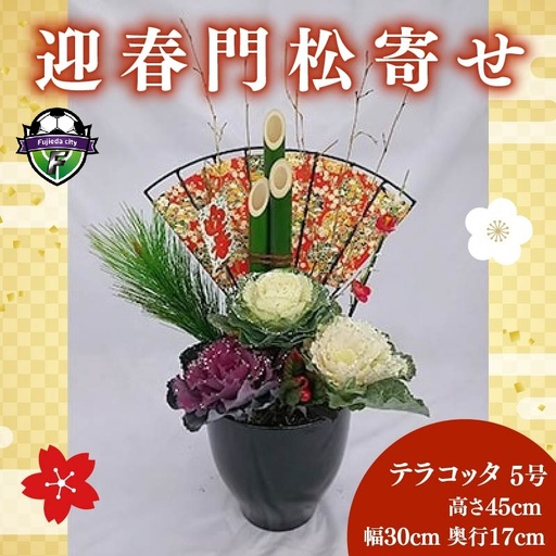 【 先行予約 ：2026年12月中旬発送  】 花 門松 寄せ植え 葉牡丹 正月飾り 門松 門松 正月