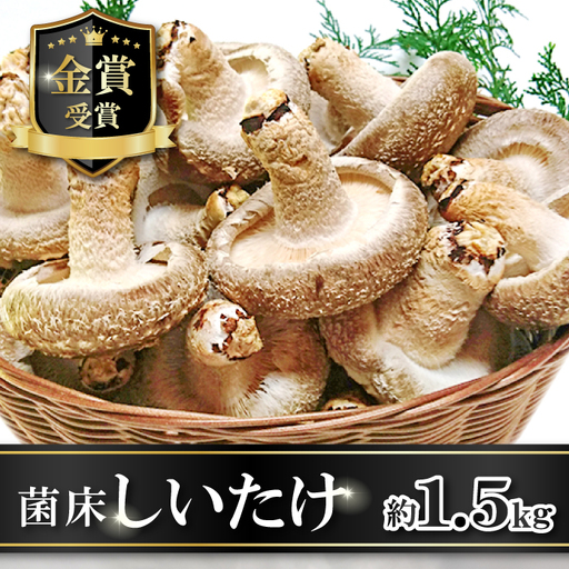 菌床しいたけ　かご入り