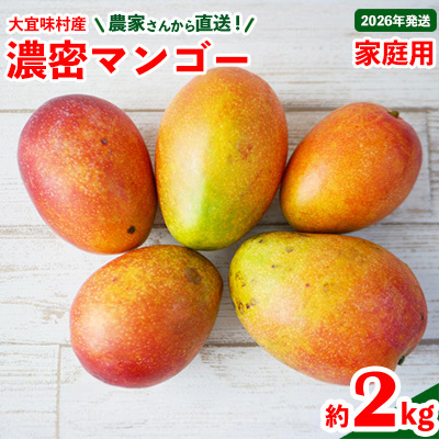 マンゴー[2026年発送]ご家庭用!濃密マンゴー[家庭用・約2kg]