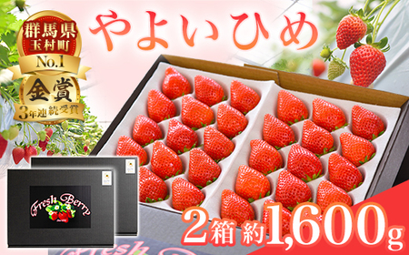 群馬県やよいひめ（いちご）約1.6kg【３年連続金賞受賞！】※2026年12月～2027年5月にて順次発送予定