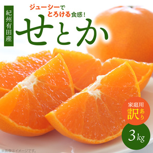 [2027年先行予約][家庭用 訳あり] とろける食感!ジューシー柑橘 せとか ミカン 春みかん 果物 果実 フルーツ 柑橘 デザート お取り寄せ 和歌山県 湯浅町 送料無料