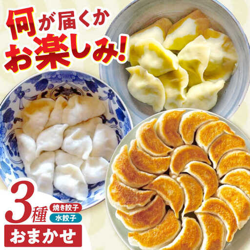餃子 3種おまかせ便 / ギョウザ ぎょうざ 餃子 焼餃子 水餃子 冷凍 / 諫早市 / 餃子のかわしも [AHBM004]