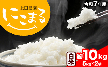 令和7年産 米 にこまる 約10kg (5kg×2袋) こめ コメ 白米 上田農園[30日以内に出荷予定(土日祝除く)] 熊本県 荒尾市 米 白米 こめ