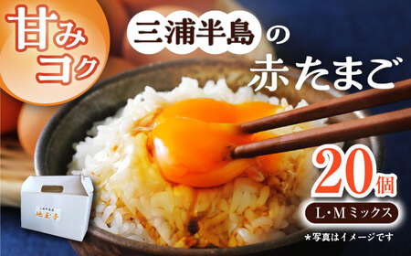 餌にこだわった三浦半島産赤たまご 20個 赤たまごたまご たまご こだわりたまご たまご [AKET003]