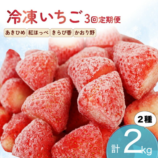 いちご 冷凍 3ヶ月 定期便 2kg  いちご
