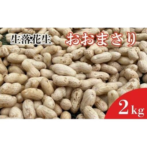 [先行予約]落花生 おおまさり 2kg / 落花生 らっかせい ラッカセイ おおまさり 生落花生 茹で落花生 2kg 産地直送 産直 送料無料