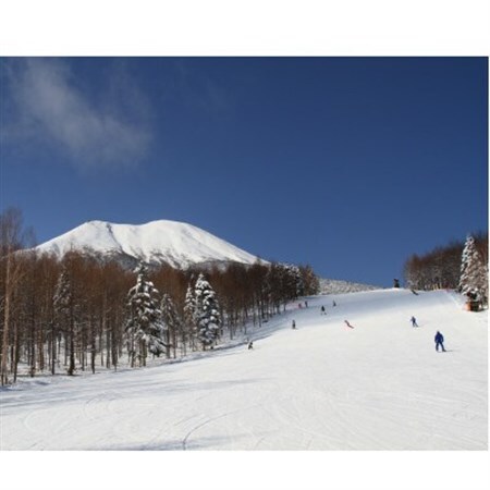 マイアスキー場の施設利用券(木曽町ふるさと納税感謝券)　15,000 円分【1455475】