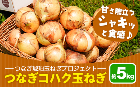 玉ねぎ つなぎコハク玉ねぎ 5kg[4月中旬-5月中旬出荷]熊本県 葦北郡 津奈木町 つなぎ琥珀玉ねぎプロジェクト 野菜 たまねぎ