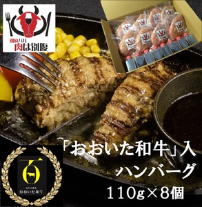 おおいた和牛入ハンバーグ8個_B172-008