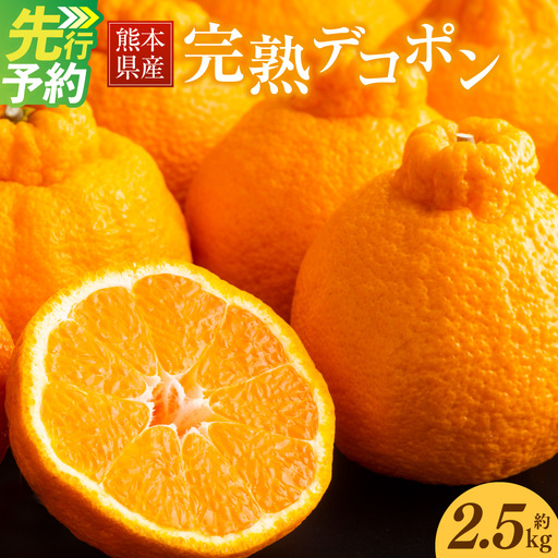 [ R8年熊本地震復興支援 ]熊本県産 完熟 デコポン 計2.5kg(10〜12玉) 果物 くだもの フルーツ 蜜柑 ミカン 柑橘 [2027年3月上旬〜4月上旬発送予定]