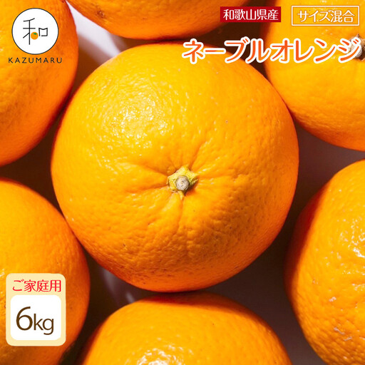 家庭用 森本農園の手選別ネーブルオレンジ 6kg 和歌山県産 サイズ混合 ［北海道・沖縄・離島配送不可］［RN34］［2027年1月上旬から順次発送］