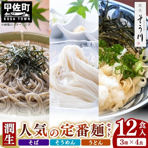 潤生「人気の定番麺」セット12食入り - うどん そば そうめん 饂飩 蕎麦 素麺 麺類 国産 九州産 小麦 つゆ付 国産小麦 手延べ てのべ 潤い 早茹で 再熟成 こだわり もっちり食感 簡単 煮込むだけ 常温保存可能 人気 おすすめ 熊本県 甲佐町 肥後そう川