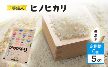 ヒノヒカリ 1等級米 無洗米 福岡県産 ヒノヒカリ【5kg】【定期便6回】