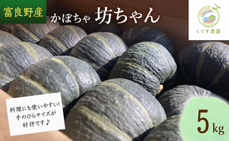 [2026年10月より順次発送]北海道富良野産かぼちゃ「坊ちゃん」5kg ※手のひらサイズが好評です!
