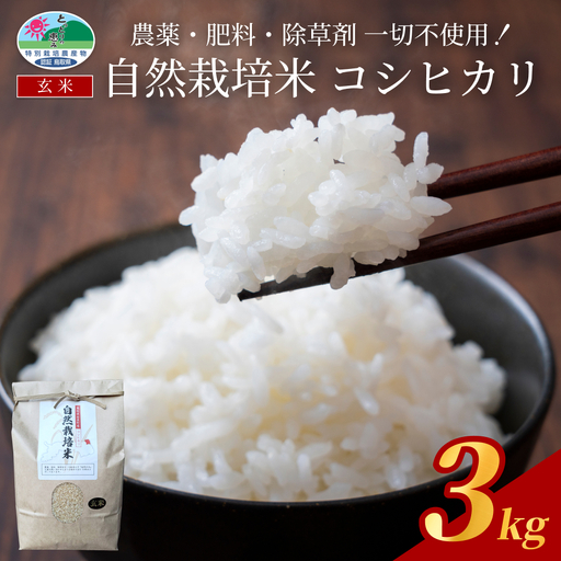 [2026新米先行予約]岩美町産自然栽培米こしひかり(玄米)3kg|鳥取 岩美 お米 こめ 玄米 無農薬 無肥料 早期予約[31007]