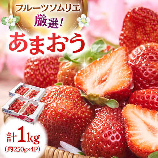 福岡産【春】あまおう4パック [ADBW008] あまおう 博多