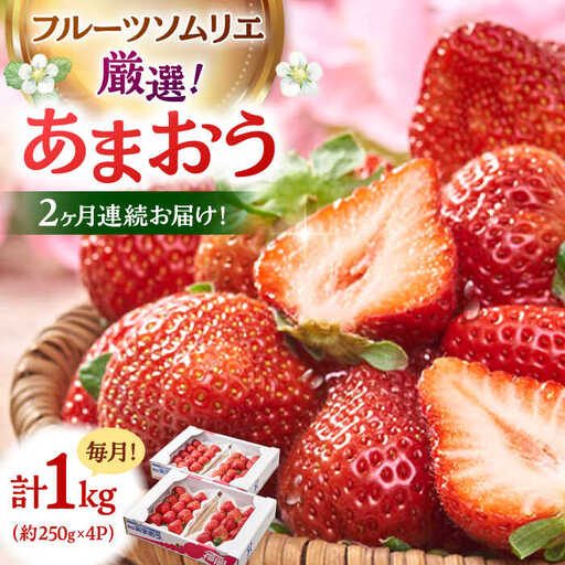 【全2回定期便】福岡産【春】いちご あまおう4パック 桂川町/南国フルーツ株式会社 [ADBW042] あまおう 苺 イチゴ あまおう 定期便