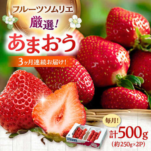 [全3回定期便]福岡産[冬]あまおう2パック 桂川町/南国フルーツ株式会社 [ADBW043] あまおう 苺 イチゴ あまおう 定期便