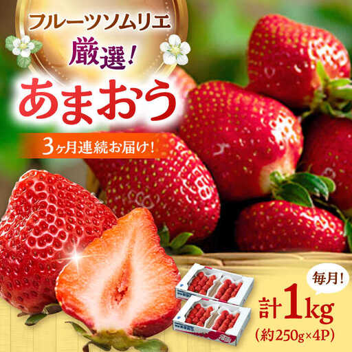[全3回定期便]福岡産[冬]あまおう4パック 桂川町/南国フルーツ株式会社 [ADBW044] あまおう 苺 イチゴ あまおう 定期便