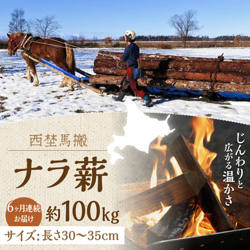 【全6回定期便】北海道 ナラ薪 100kg（20kg×5箱） 薪ストーブ 薪ストーブ 薪ストーブ 薪ストーブ [AXBE008]
