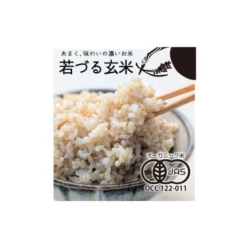 【若づる米】オーガニック 有機米 きぬむすめ 玄米 3kg[1175]