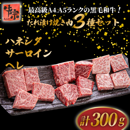 [黒毛和牛の希少部位焼肉セット]ハネシタ焼肉・サーロイン焼肉・ヘレ焼肉(焼肉牛肉 焼肉食べ比べ 20000円焼肉