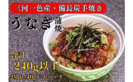 うなぎ 三河一色産 備長炭手焼き 蒲焼 うなぎ【2切れ×6パック】