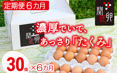 【定期便6か月】関匠卵 たくみ 30個×6か月｜卵 30個 赤玉 玉子 たまご 生卵 鶏卵 産みたて 新鮮 濃厚 健康 TKG たまごかけごはん ご飯のお供 国産 ギフト 贈答 贈り物 お中元 お歳暮 プレゼント 茨城県 古河市 農家直送 ※北海道・沖縄・離島への配送不可 _CP09