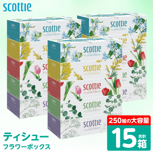スコッティ ティッシュ 250組 15箱 ティシュー