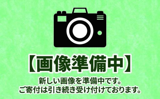 【鶏肉】鶏肉 手羽元 12kg 2kg × 6袋 訳あり