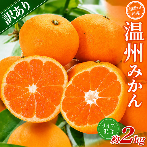 みかん[訳あり] 森本農園 約2kg [2026年10月中旬〜2027年2月中旬ごろに順次発送][BV90008-mrmt008]