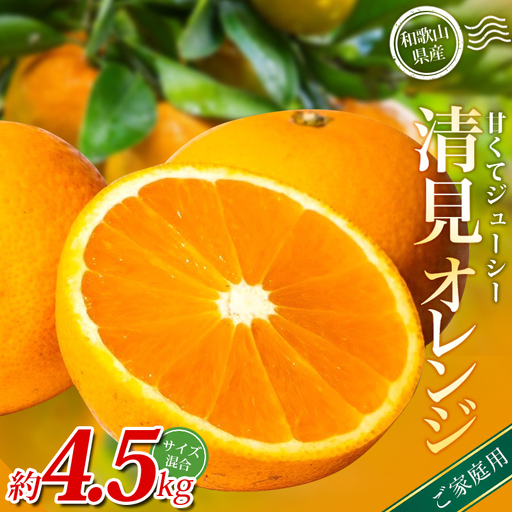 【家庭用】 森本農園の手選別 清見オレンジ 約4.5kg 和歌山県産 サイズ混合 【北海道・沖縄・離島配送不可】【BV90022-mrmt022A】