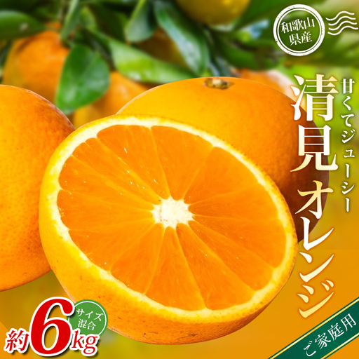 みかん [家庭用] 清見オレンジ 約6kg [北海道・沖縄・離島配送不可][BV90038-mrmt038A]