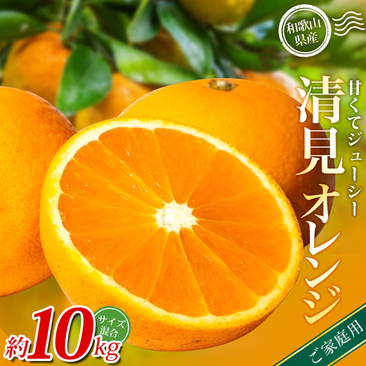 みかん 【家庭用】  清見オレンジ 約10kg 【北海道・沖縄・離島配送不可】【BV90039-mrmt039C】