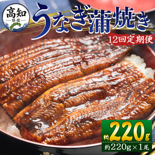 香南市 うなぎ 高知県産定期便 全12回 | うなぎ Wfb-0060